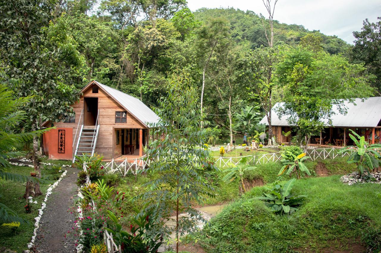לאנקווין Aruma Eco-Hostal מראה חיצוני תמונה